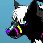 Tsuki